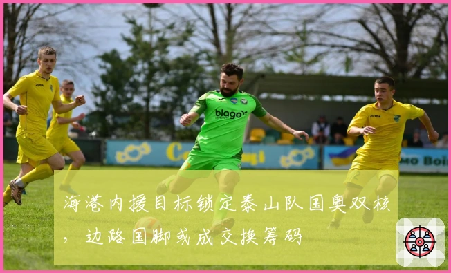 海港内援目标锁定泰山队国奥双核，边路国脚或成交换筹码